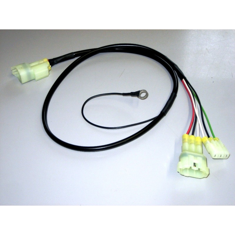 iQSE - Kit Cablaggio DUCATI Desert X Discovery 937 2025 2026