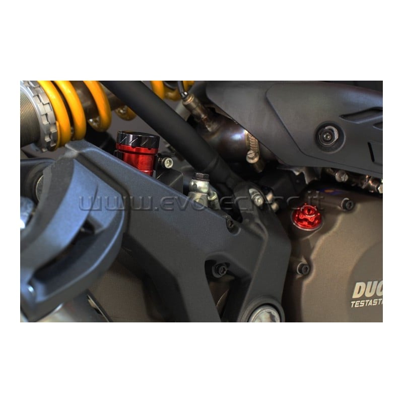 Serbatoio liquido freno posteriore