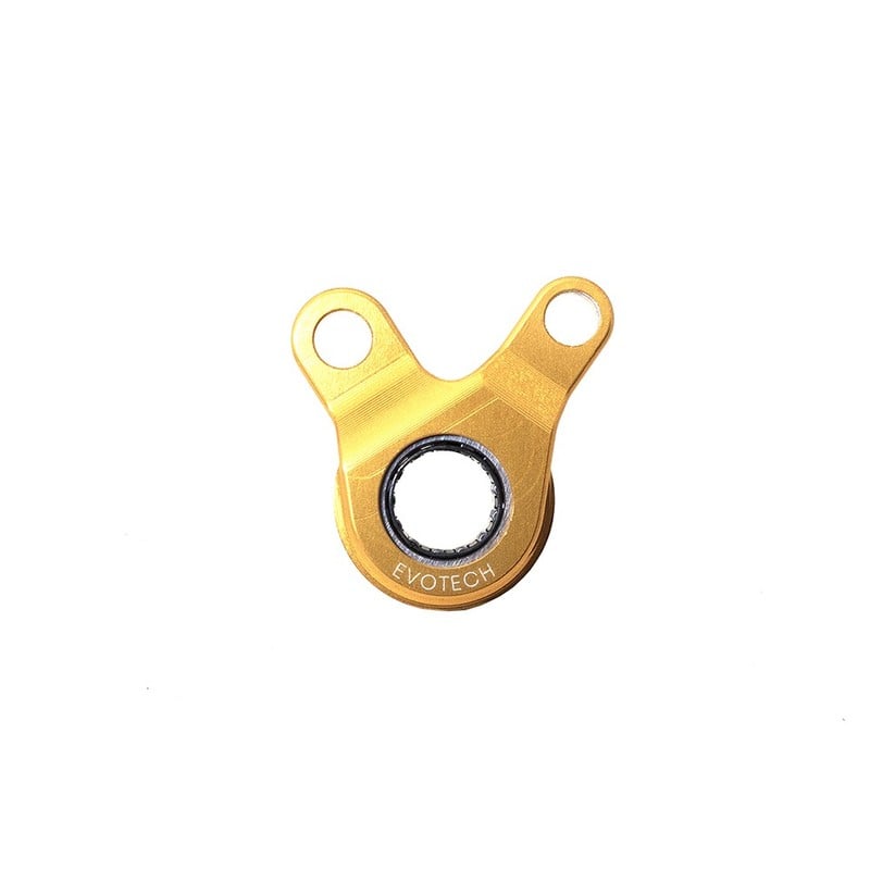 Supporto perno cambio con cuscinetto Triumph Speed Triple 1200 RR