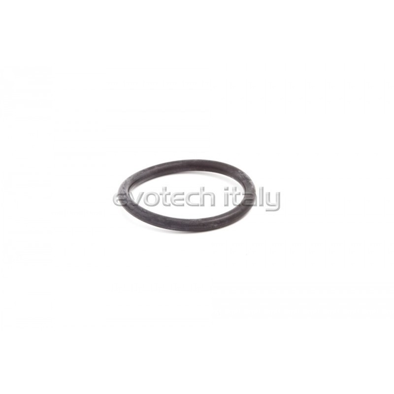 Oring antivibrazione tamponi paratelaio Evotech