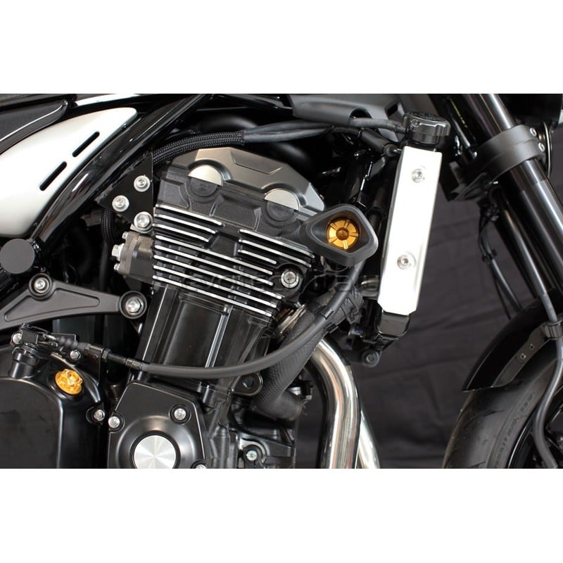 Tamponi paratelaio ammortizzati Evo Kawasaki Z900 RS 18-25/ Z900 17-24