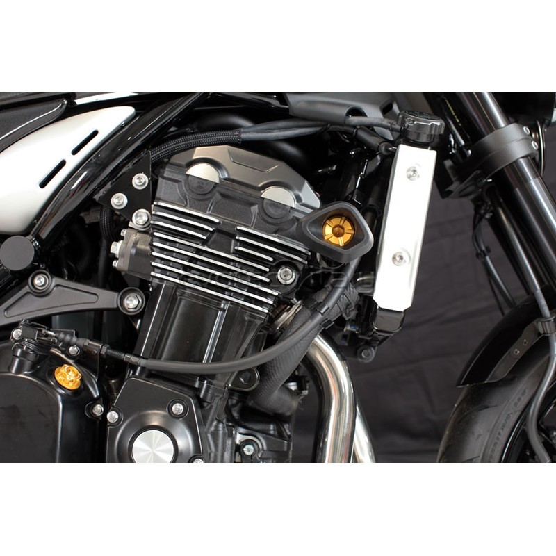 Tamponi paratelaio ammortizzati Evo Kawasaki Z900 RS 18-25/ Z900 17-24