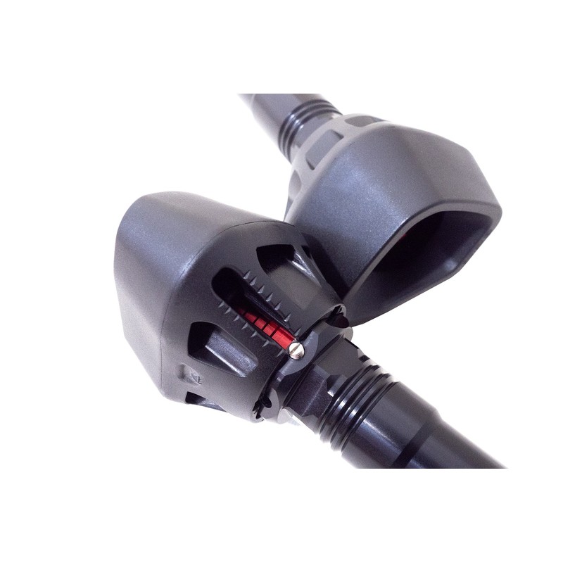 Tamponi paratelaio ammortizzati Triumph Speed 1050 99-07 / Daytona 99-04