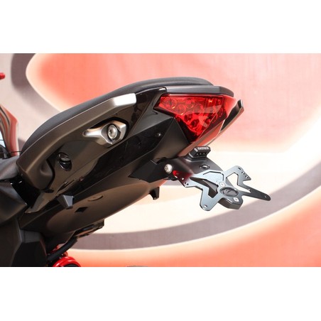 Portatarga Kawasaki ER6N 12-16