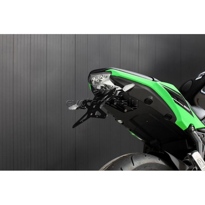 Portatarga Kawasaki Z650 17-26/ Ninja 650/ KRT Edition