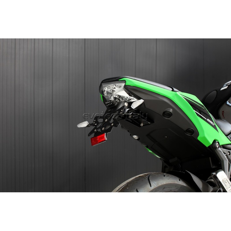 Portatarga Kawasaki Z650 17-26/ Ninja 650/ KRT Edition