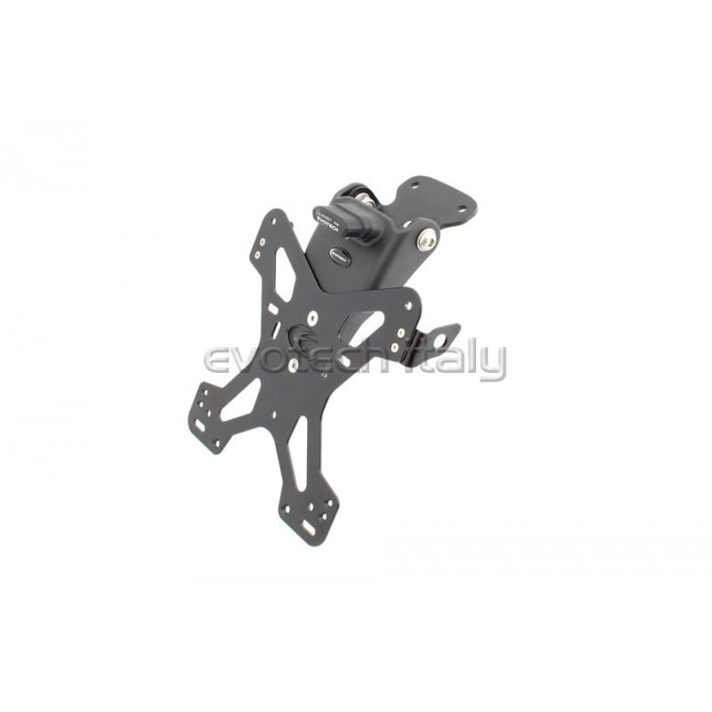 Portatarga Triumph Speed Triple  08-10