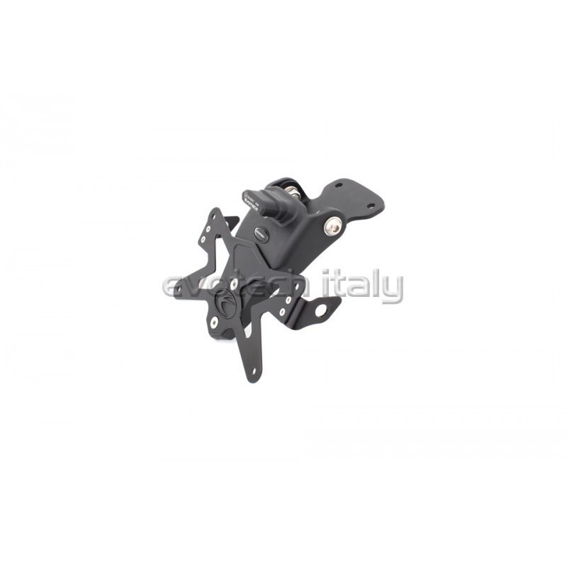 Portatarga Triumph Speed Triple  08-10