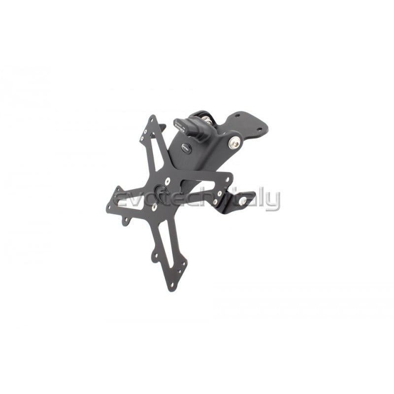 Portatarga Triumph Speed Triple  08-10