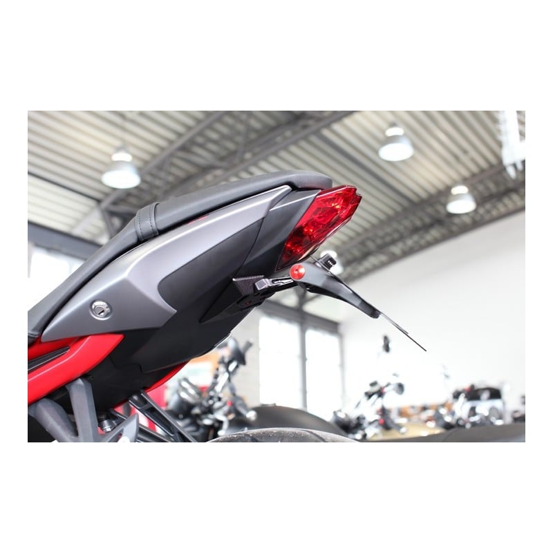 Portatarga Triumph Street Triple 675/R/RX Daytona 675/R 13-16 Premium