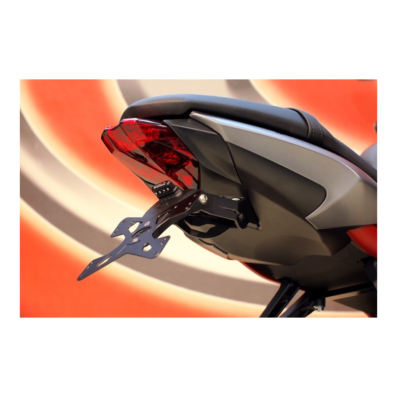Portatarga Triumph Street Triple 675/R/XR Daytona 675/R 13-16