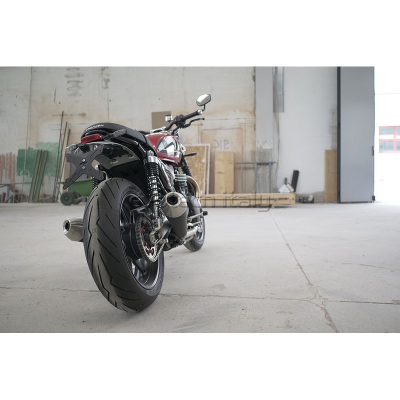 Portatarga Triumph Speed Twin 1200