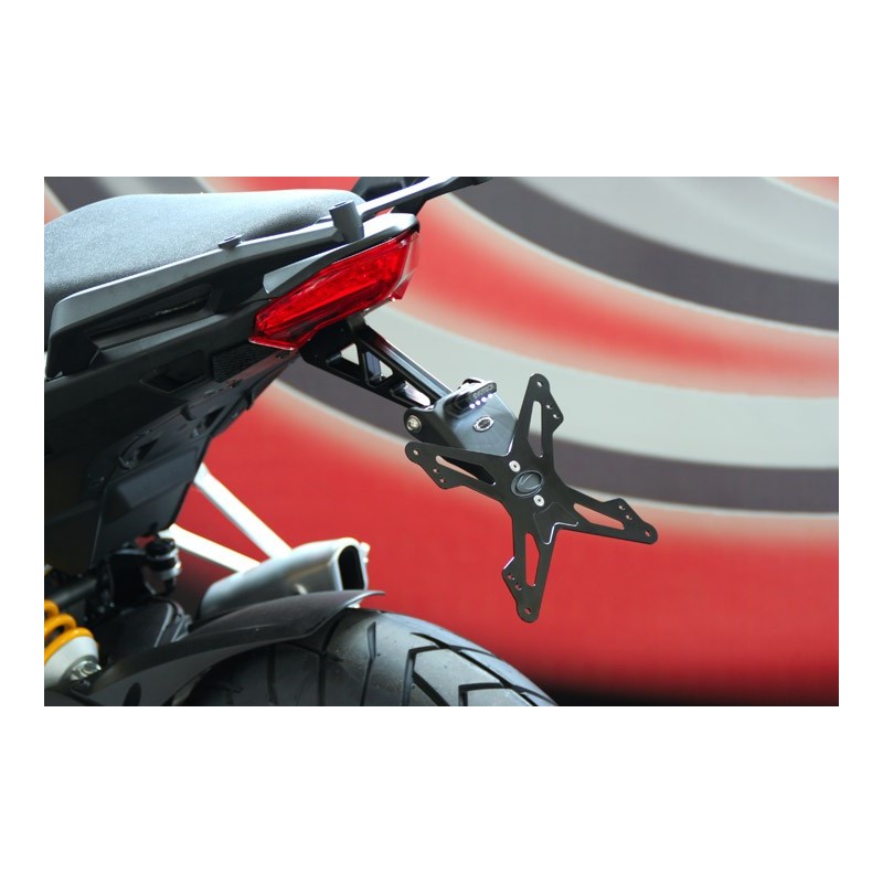 Portatarga Ducati Multistrada 10-14(con borse)