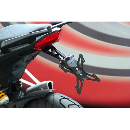 Portatarga Ducati Multistrada 10-14(con borse)