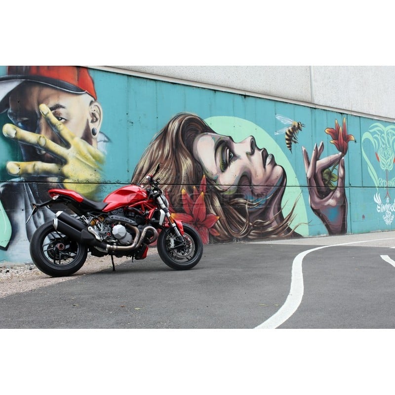 Portatarga Ducati Monster 1200/S 17-20 Versione Premium