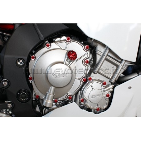 Kit viti carter albero motore Yamaha R1 15-19