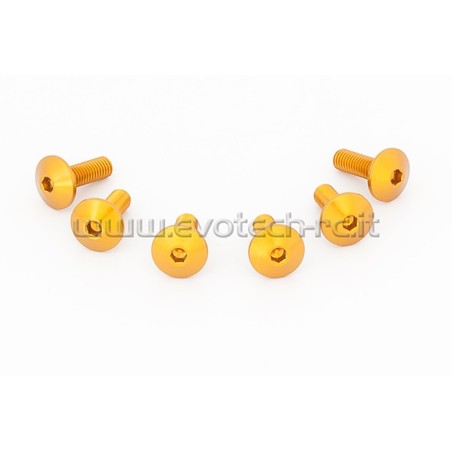 KIT VITI CUPOLINO 041 Bmw S1000RR 15