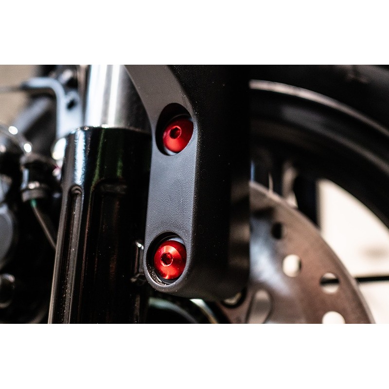 KIT VITI CARENA HONDA MONKEY 125 22-24