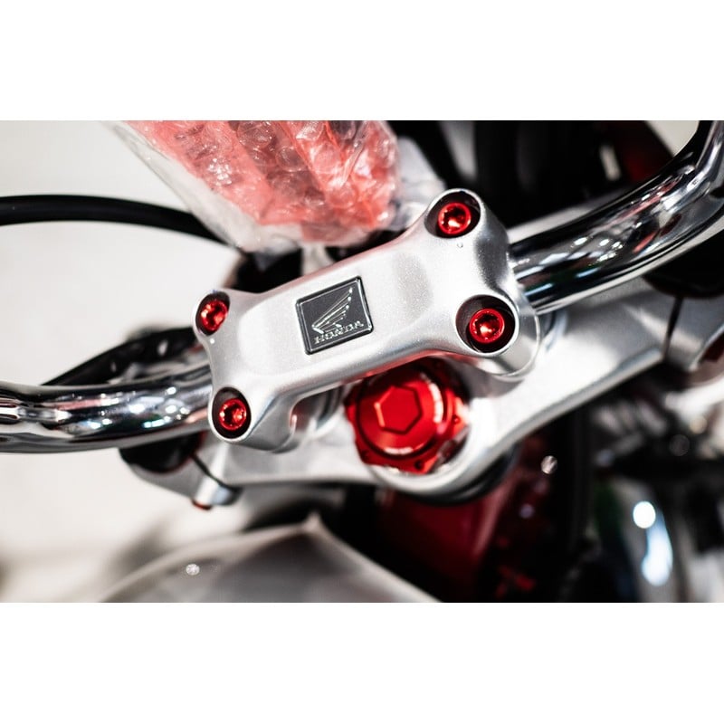 KIT VITI CARENA HONDA MONKEY 125 22-24