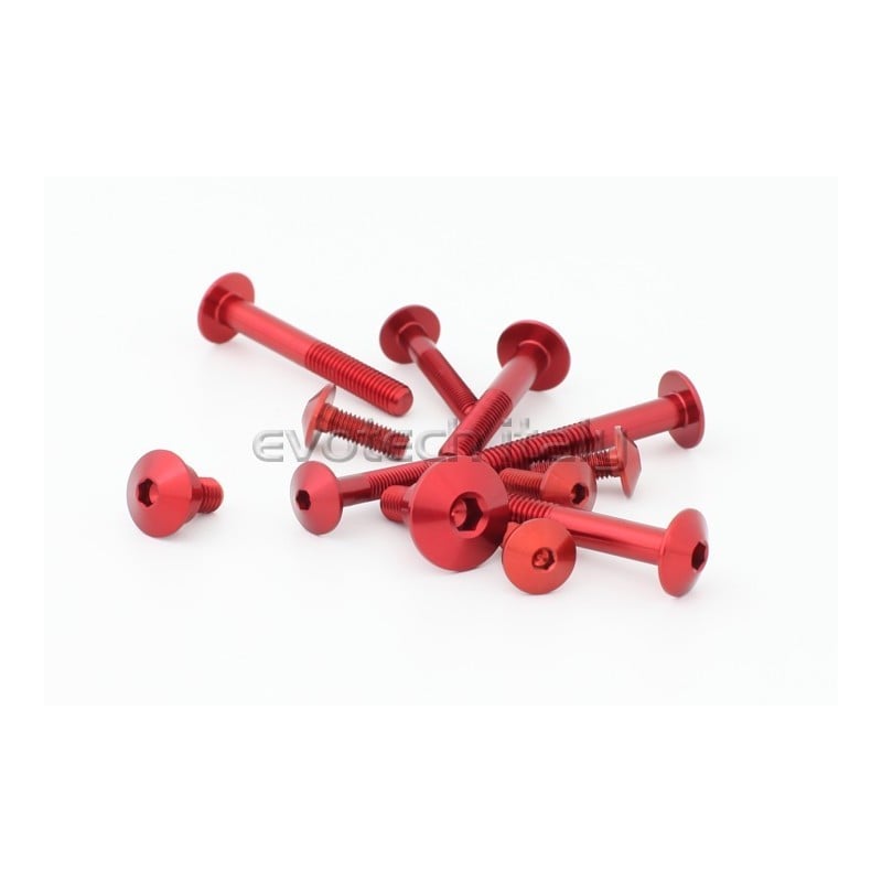 KIT VITI CARENA DUCATI HYPERMOTARD 939