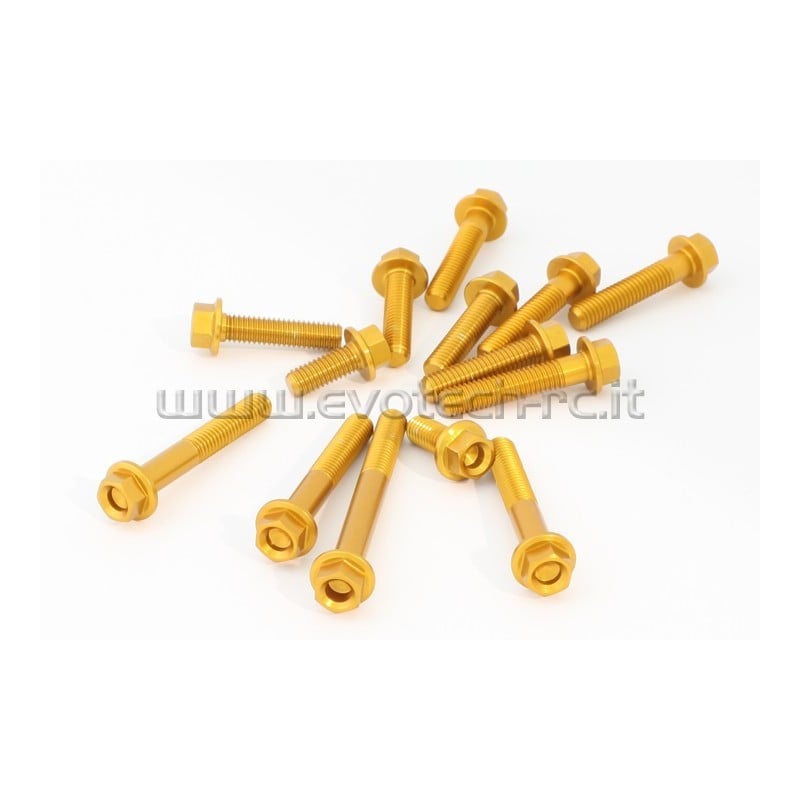 KIT VITI MOTORE KAWASAKI Z250/Z300 15-16