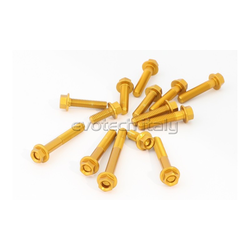 KIT VITERIA MOTORE BENELLI BN302 17-19