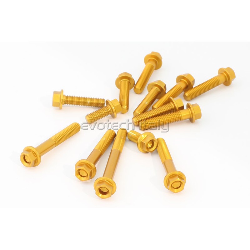 KIT VITERIA MOTORE DUCATI STREETFIGHTER V4 S