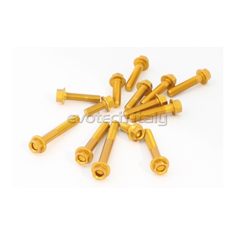 Kit viti motore Ktm 125 Duke 17-23