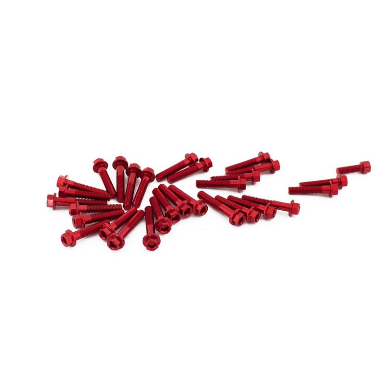 Kit viti motore Beta Alp 4.0 24-25