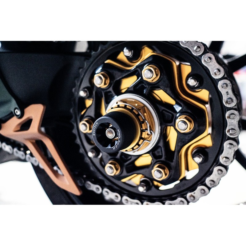 Protezione forcellone Triumph Speed Triple 1200 RR