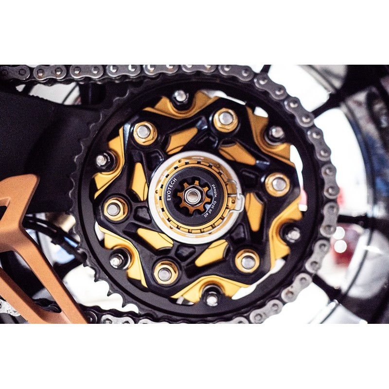 Protezione forcellone Triumph Speed Triple 1200 RR