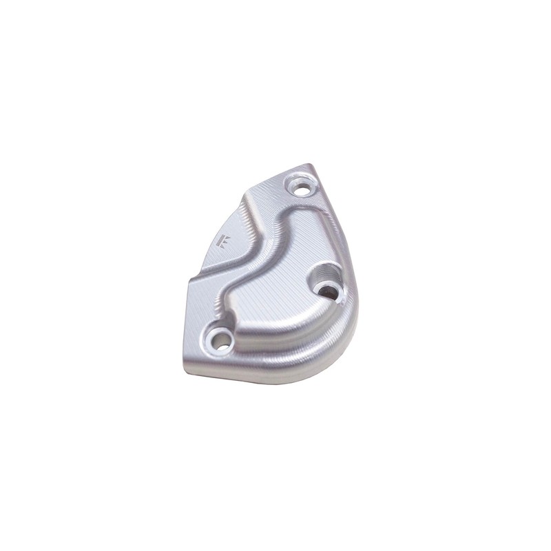 Protezione carter pick up Triumph Speed Triple 1200 25-26