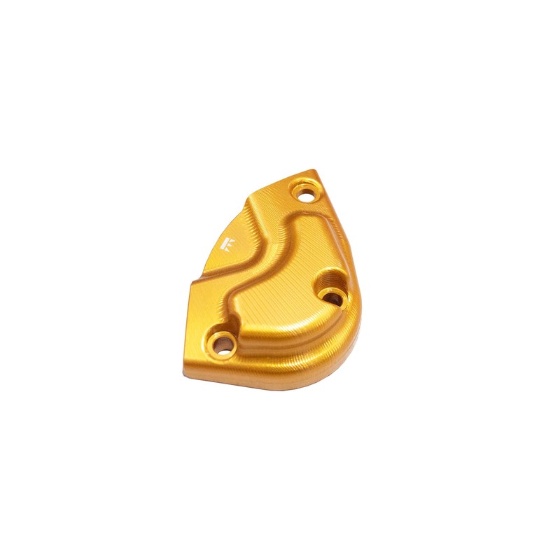 Protezione carter pick up Triumph Speed Triple 1200 25-26