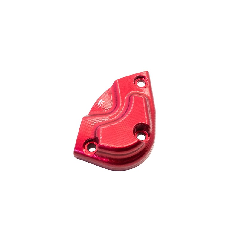 Protezione carter pick up Triumph Speed Triple 1200 25-26
