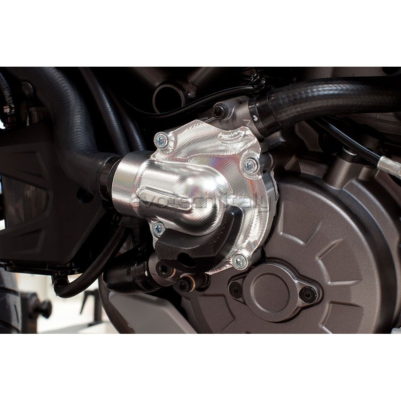 Protezione pompa acqua Ducati Diavel/ Monster 1200/821/ Multistrada
