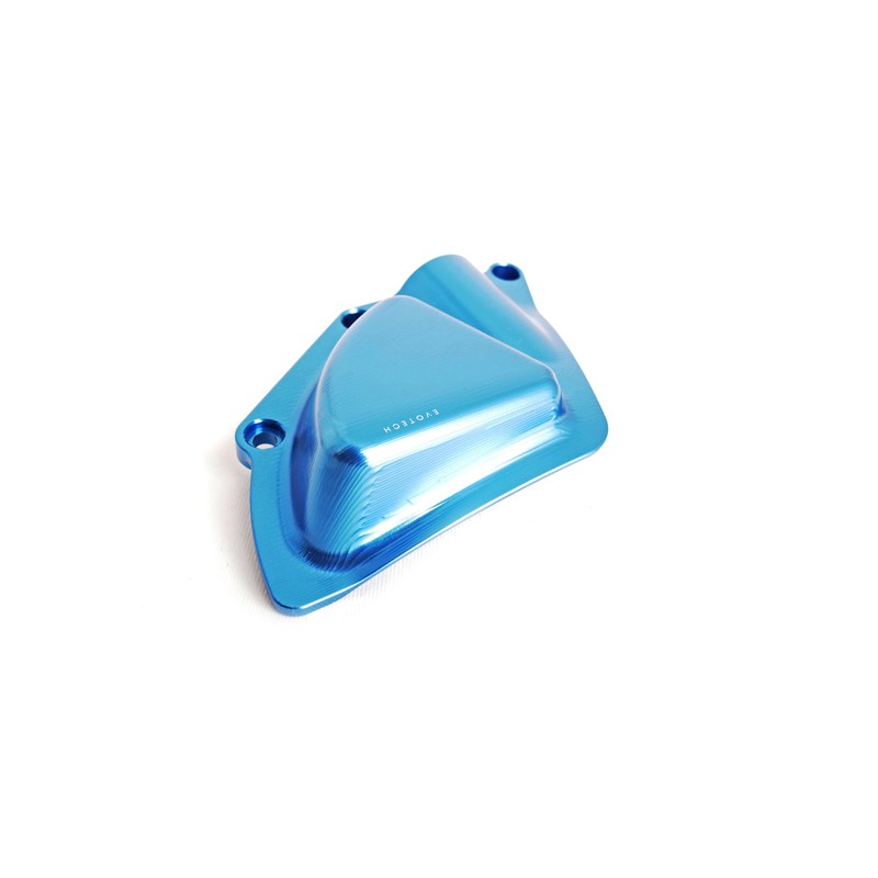 Protezione motore destra M 1000 R 2023 BMW