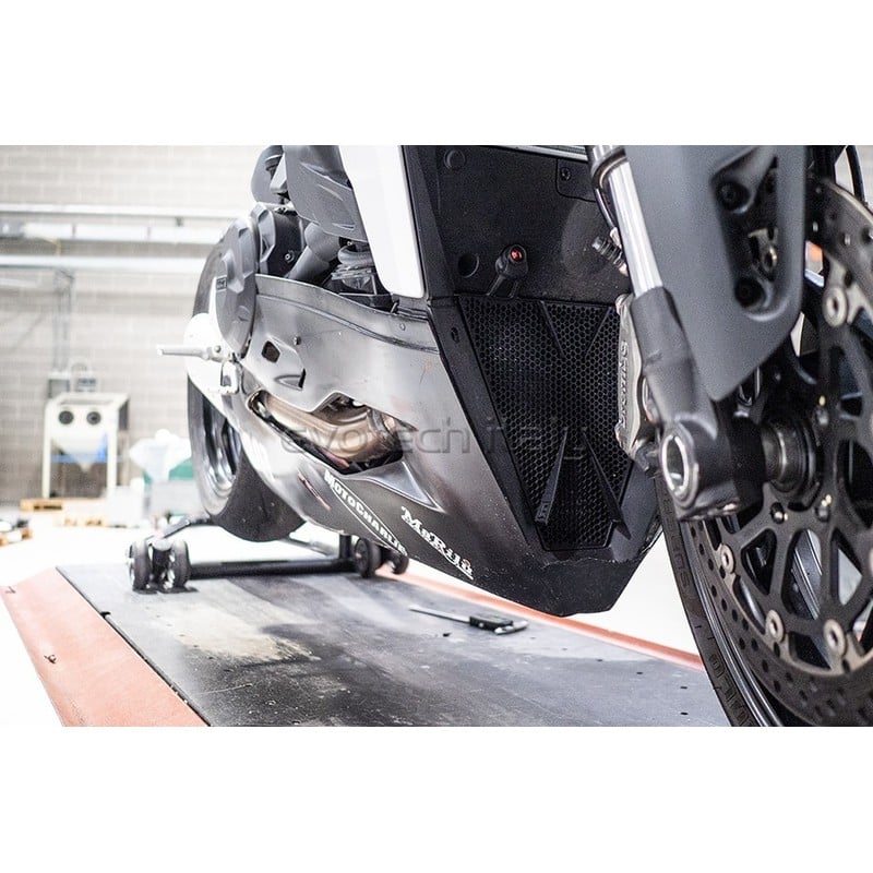 Griglia radiatore inferiore Ducati Streetfighter V2 955/ Panigale V2 in additive