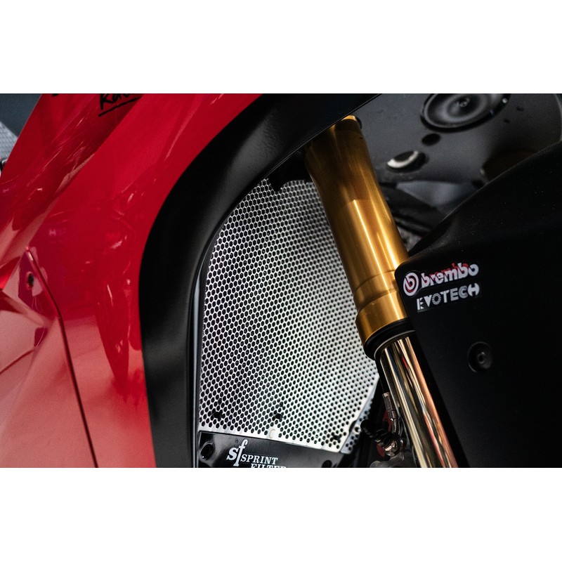Griglie radiatore superiore e inferiore Ducati Panigale V4/ S 25