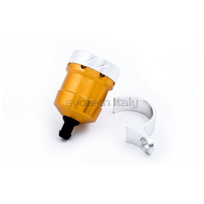 Serbatoio liquido freno posteriore TRIUMPH