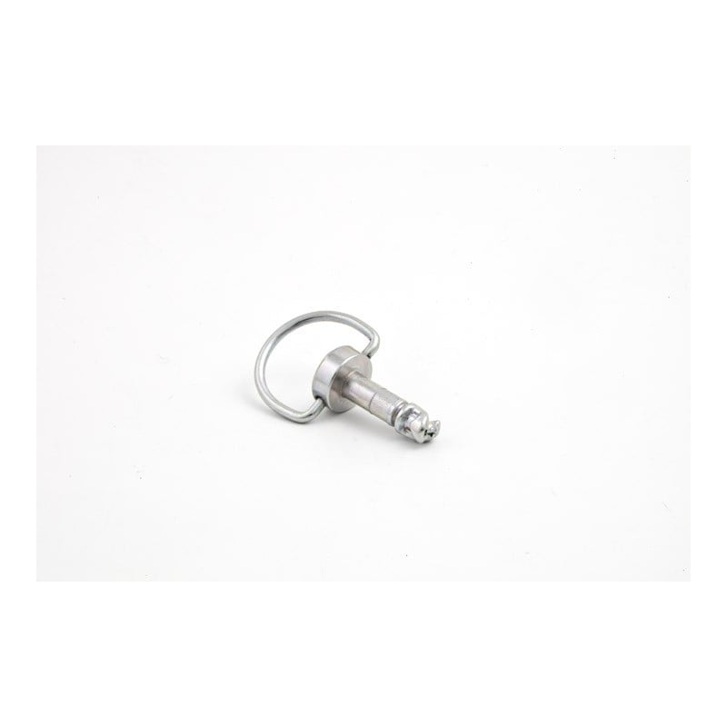 Perno con anello 6 x 15mm