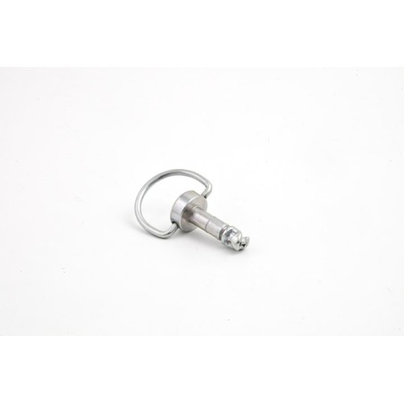 Perno con anello 6 x 15mm