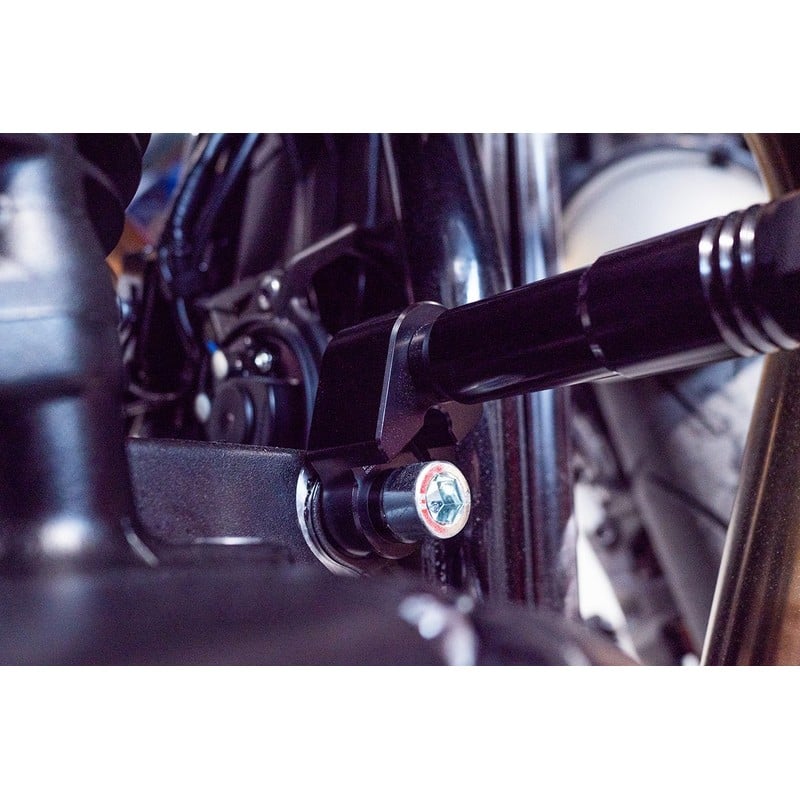 Tamponi paratelaio ammortizzati Triumph Speed Twin 1200/ RS 21-26