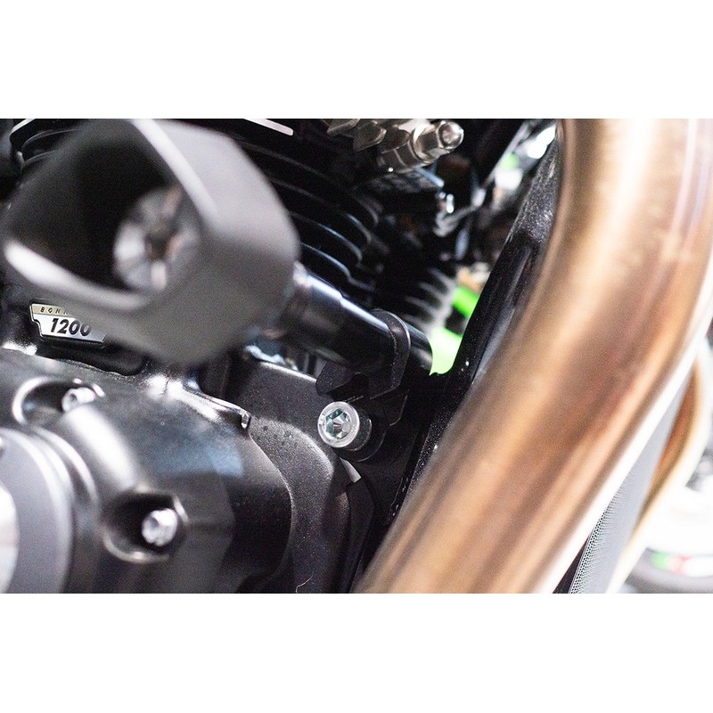 Tamponi paratelaio ammortizzati Triumph Speed Twin 1200/ RS 21-26
