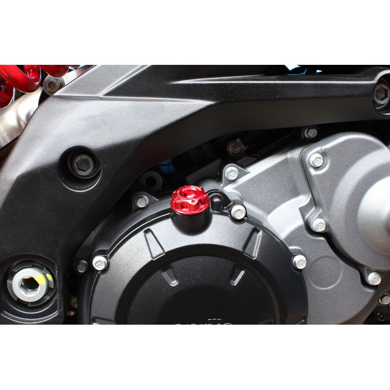 DADO ERGAL  M25x1,5 CF MOTO