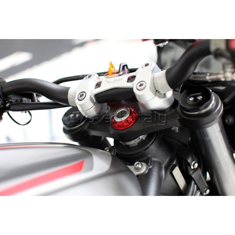 DADO ERGAL M25X1 (piastra di sterzo) TRIUMPH