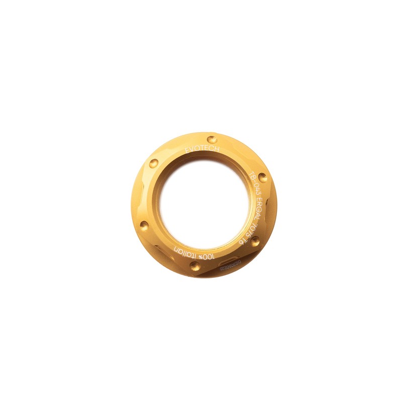 Dado perno ruota posteriore Ducati Panigale V4/S  25