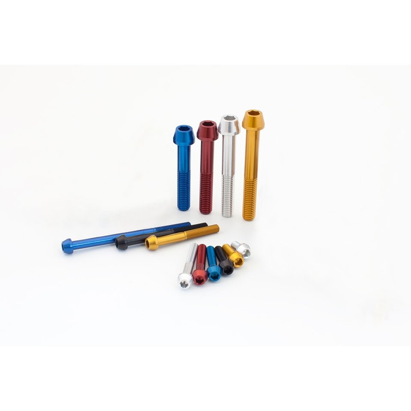 VITE TCCE M6X65 ERGAL 7075-T6