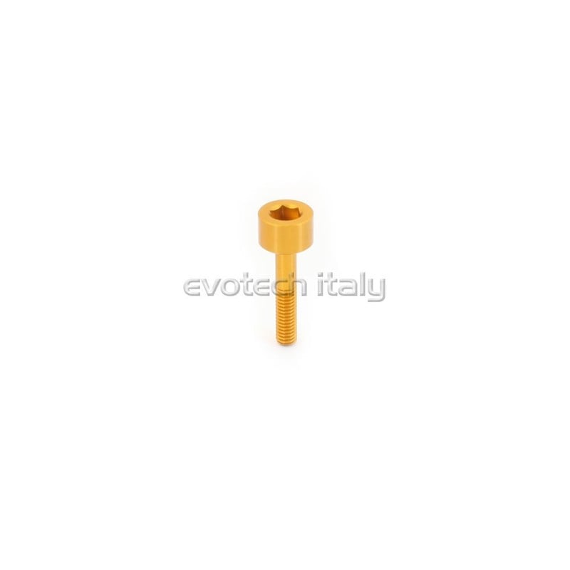 VITE SPECIALE ERGAL VS021