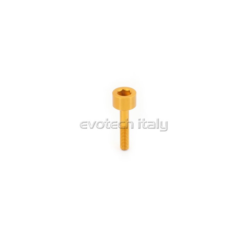 VITE SPECIALE ERGAL VS021
