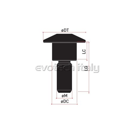 VITE SPECIALE ERGAL VS051